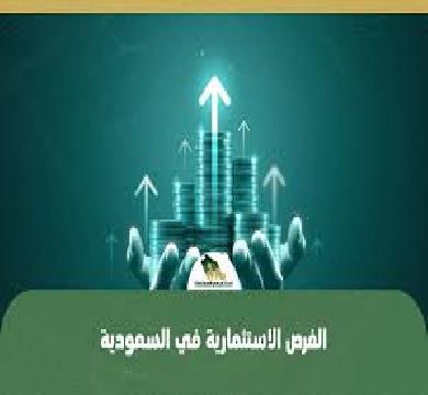 هيئة الإحصاء السعودي : ارتفاع الرقم القياسي لأسعار المنتجين بنسبة 0.4% خلال يناير 2026